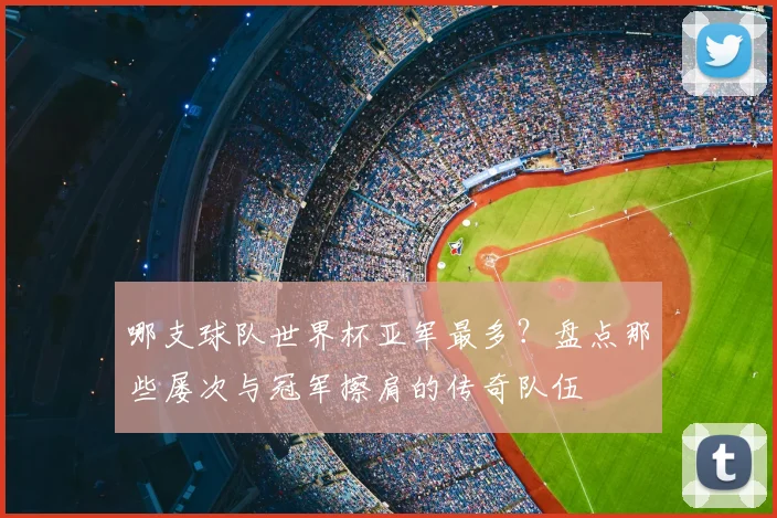 哪支球队世界杯亚军最多?盘点那些屡次与冠军擦肩的传奇队伍