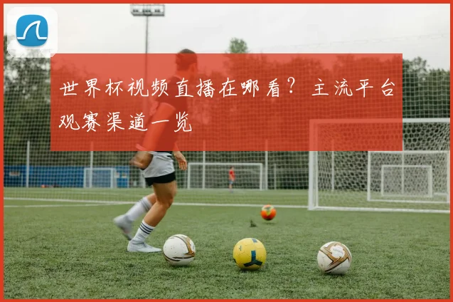 世界杯视频直播在哪看？主流平台观赛渠道一览