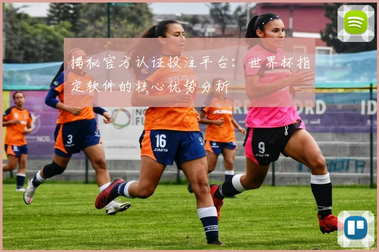 揭秘官方认证投注平台：世界杯指定软件的核心优势分析