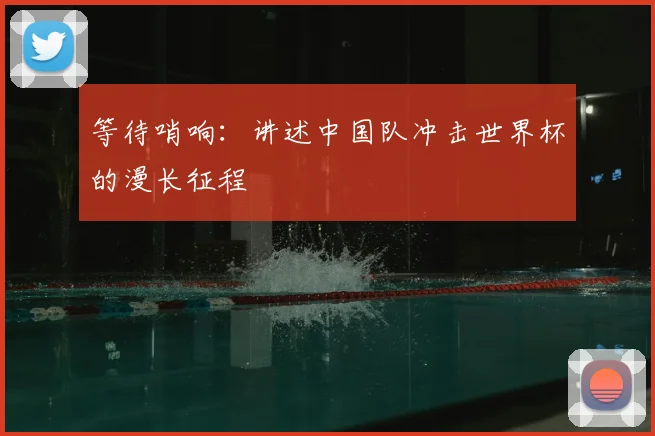 等待哨响:讲述中国队冲击世界杯的漫长征程