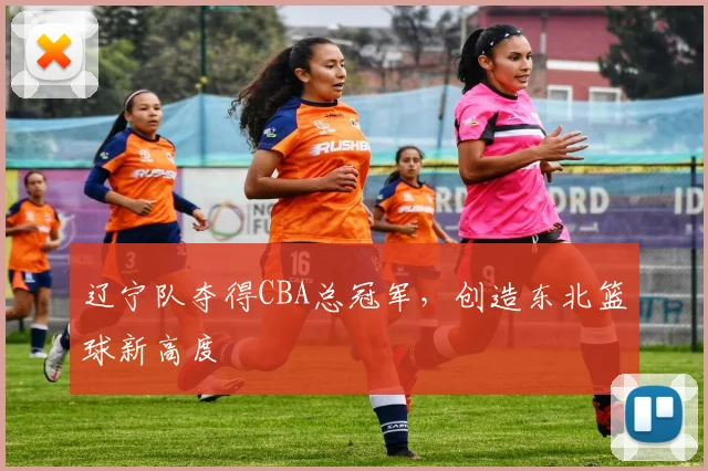 辽宁队夺得CBA总冠军，创造东北篮球新高度