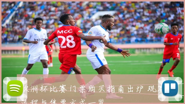 欧洲杯比赛门票购买指南出炉 观赛流程与售票方式一览