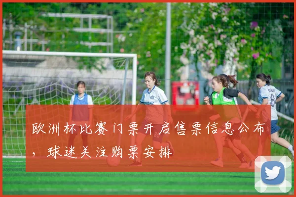欧洲杯比赛门票开启售票信息公布，球迷关注购票安排