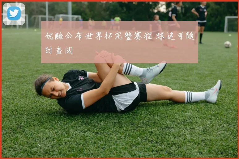 优酷公布世界杯完整赛程 球迷可随时查阅