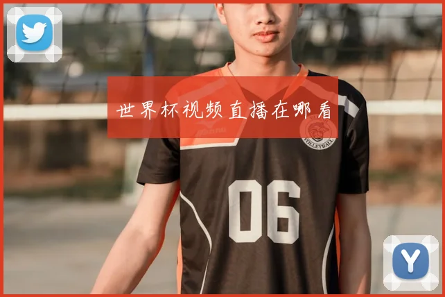 世界杯视频直播在哪看