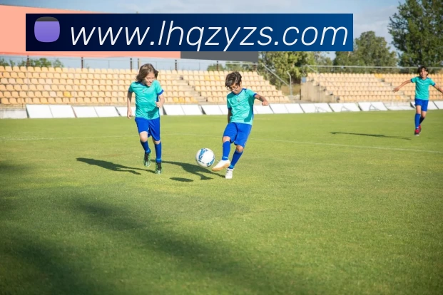 华体会官网发展历程